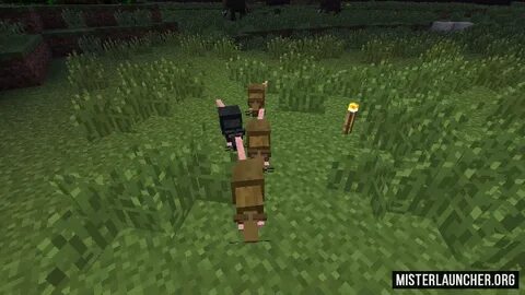 Мод на крыс 1.16