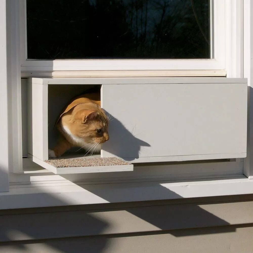 Выход кошечки. Дверца для кошек в стеклопакет. Дверца для кошек в окне. Пластиковые окна с дверцей для кошек. Окошко для кошки в двери.