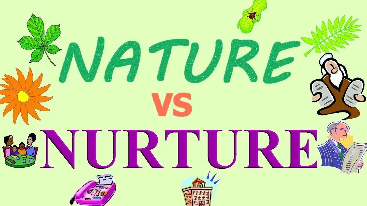 Natural v. Nurture the nature. Nature vs nurture. Nature versus nurture. Nature vs nurture Worksheets.