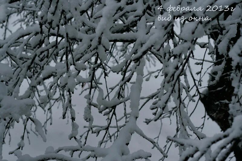 когда февраль как господин. пока февраль как господин картинки. стихи ирины самариной лабиринт о боге. пока февраль как. я февраль я младший сын я метелей господин.