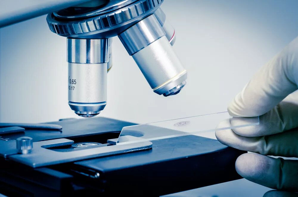 Микроскоп science microscope. Микроскоп бактериология. микроскоп лаборатория фон. микроскопы в лаборатории больницы. микроскоп медицинский абстракция.