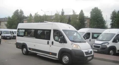 Бердск 325