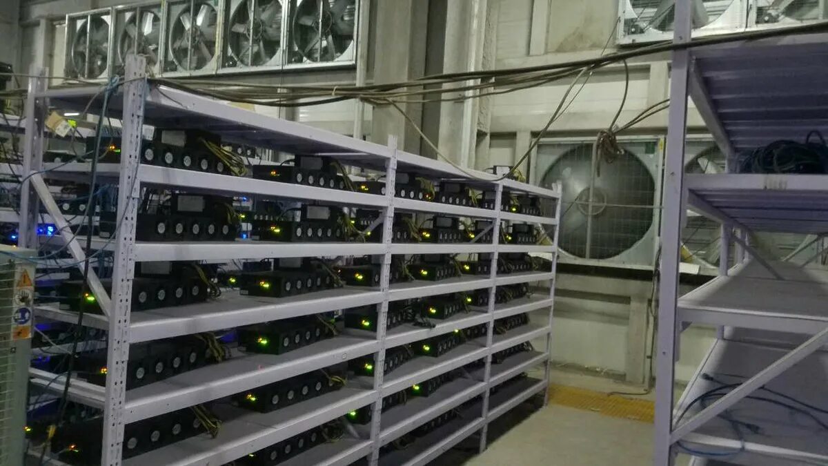 Майнинг центр вытяжка вверх. Antminer b3. Mining Boiler m Series. PANDAMINER b3. Mining house