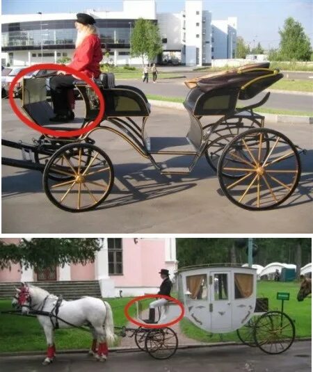 Пассажир у кучера 5 букв. Пассажир у кучера 5 букв