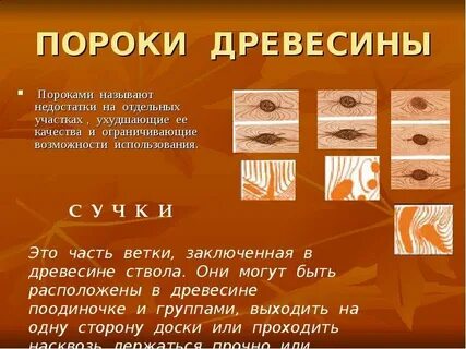 Какие пороки древесины распространены