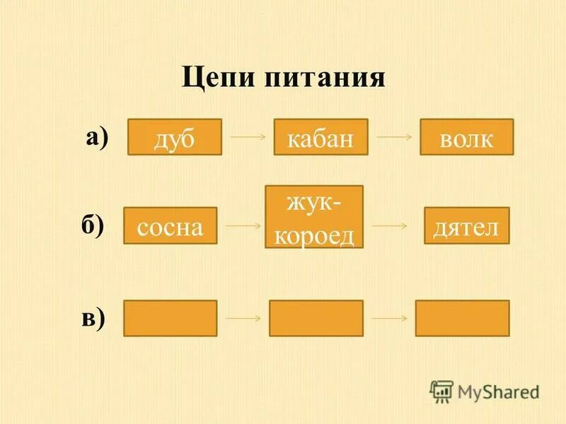 Презентация к уроку "Луг - царство цветов и насекомых".