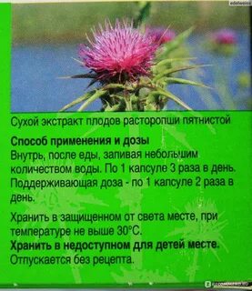 Экстракт плодов расторопши