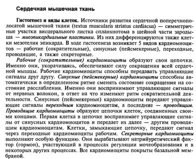 Развитие сердечной мышечной ткани