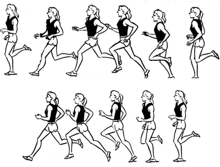 Личные движения. Техника бега. Ходьба. Упражнения в ходьбе и беге. Движения при беге.