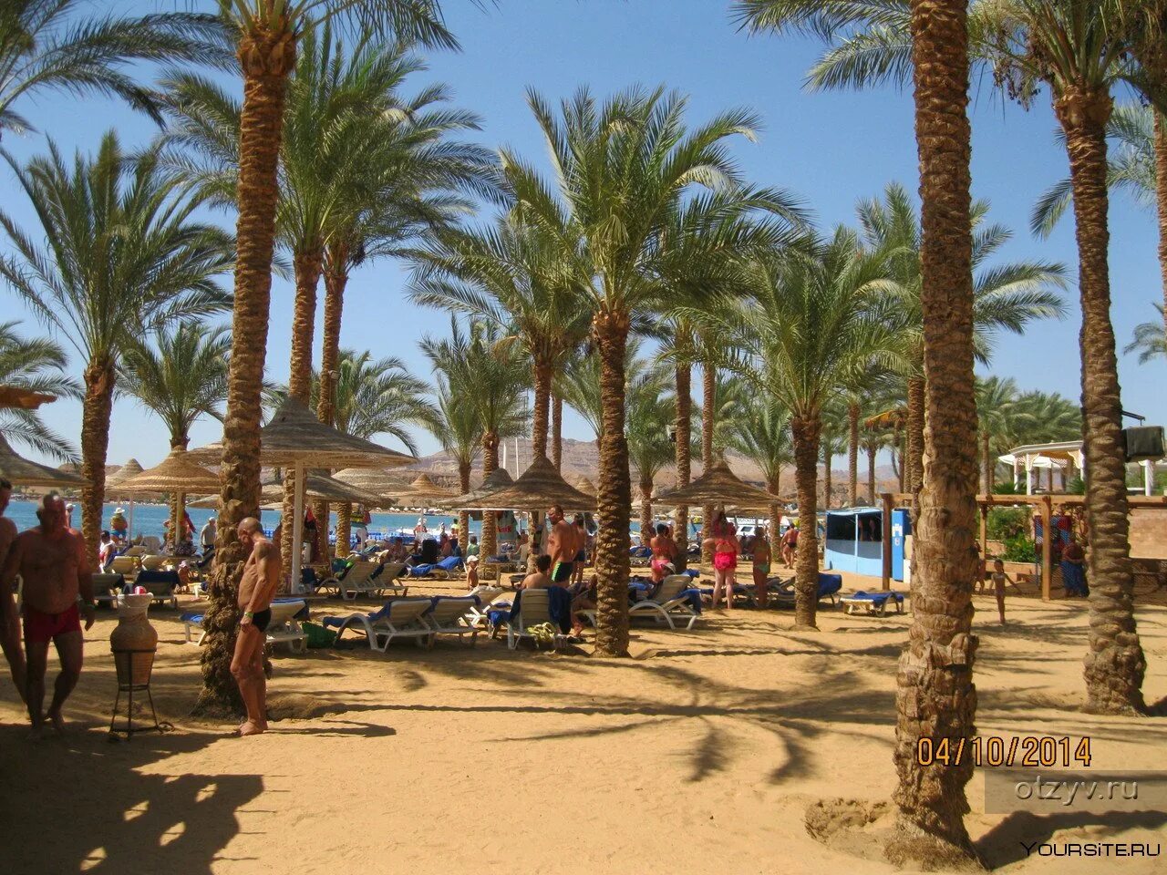 Albatros sharm хадаба. Бич альбатрос шарм-эль-шейх. пик альбатрос шарм-эль-шейх 4. beach albatros sharm 4 шарм-эль-шейх. египет,хадаба,albatros sharm.