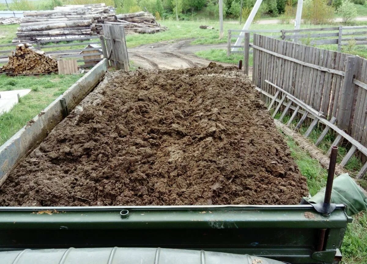 Можно ли добавить конский навоз. Подстилочный навоз. Перегной коровий. Конский навоз перегной.