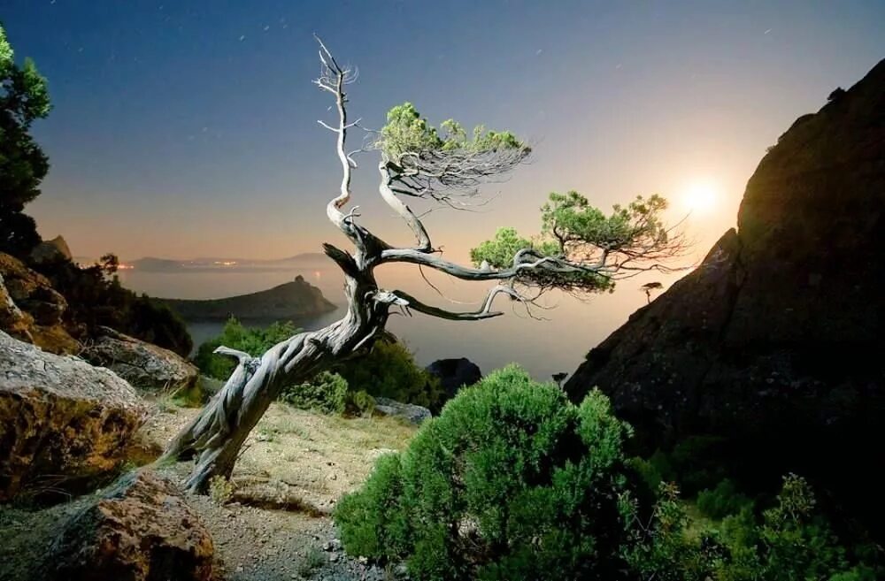 Дорога в бесконечность. Фото бесконечности природы и человека. Душа в космосе. Бесконечность природы. Бесконечность природы.