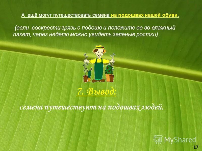 книга вижу зеленый