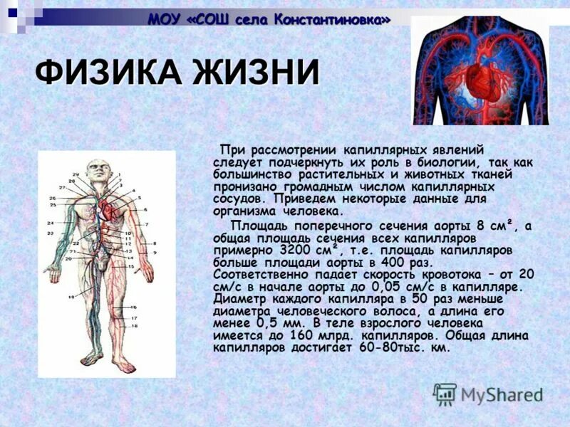 Повседневная физика