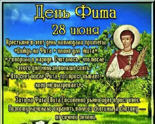 Рождение 28 июня. 28 Июня день. День фита. Народный праздник день фита. День фита 28 июня.