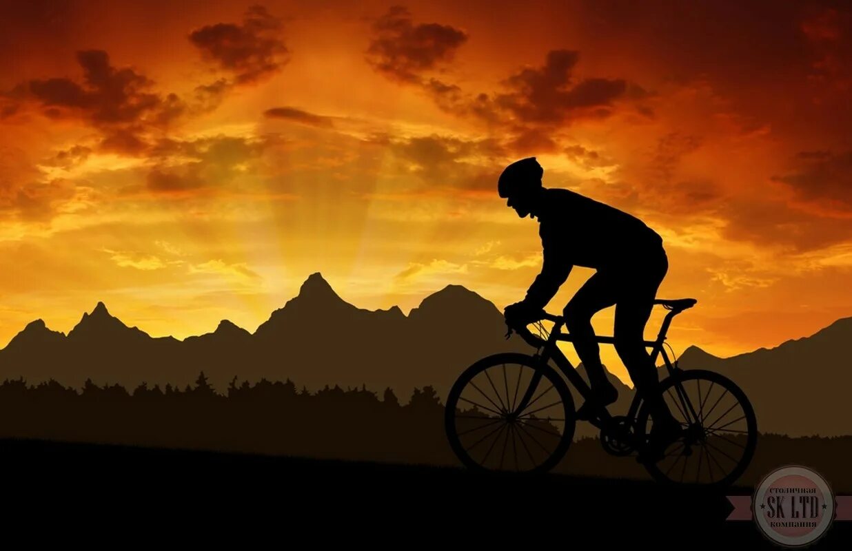 Вело лось. Велосипедист. Велосипедист картинка. Велосипедист на фоне заката. Велосипедист фон.