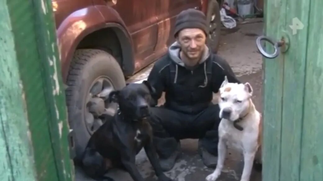 Хозяева бойцовских собак. Собаки напали на пацана. собака напала на хозяина. нападение собак на хозяев. собака напала на мальчика.