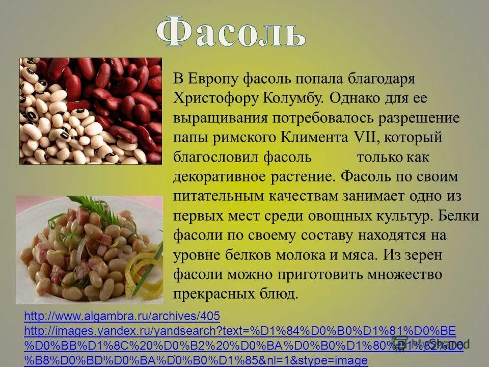 Фасоль пищевая ценность. Таблица фасоли. Фасоль сколько углеводов на 100 гр. Красная фасоль польза. Фасоль красная химический состав.