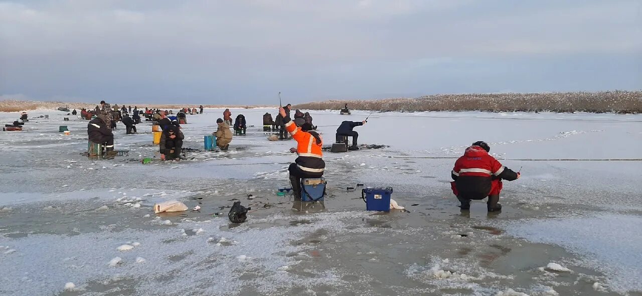 Северодвинск рыбаки. Водоёмы Северодвинска. Северодвинские рыбаки шокированы. Ягорка Северодвинск рыбалка. Форум на севере северодвинск