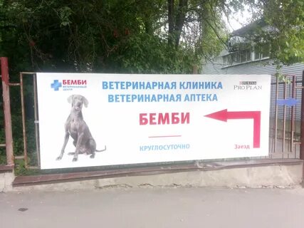 Бэмби ветклиника