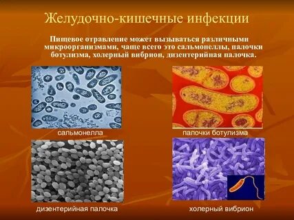 Распространение кишечных инфекций