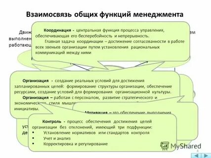 Исследование функций менеджмента