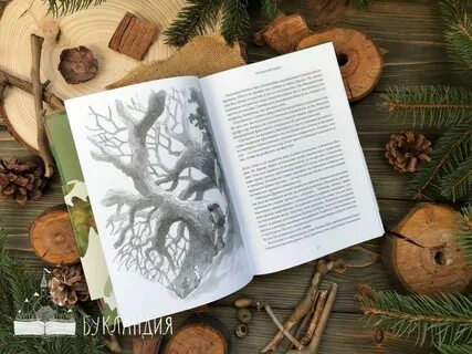 Тоби книг