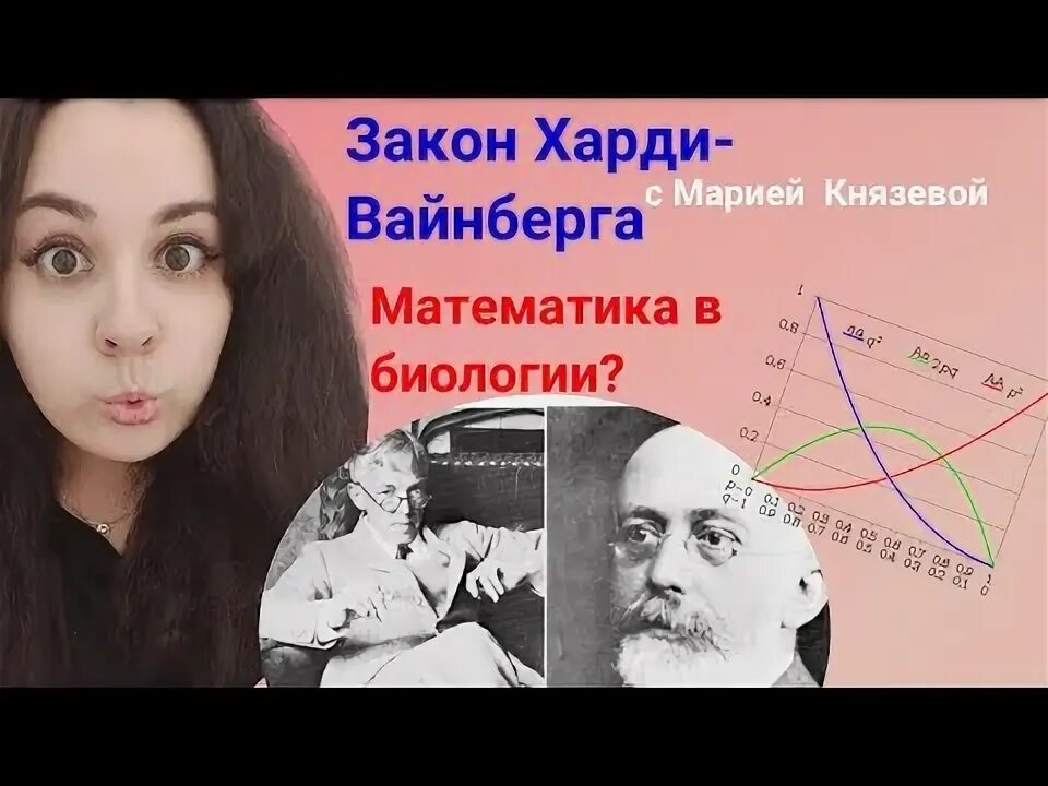 Примеры задач харди вайнберга Презентация закон харди вайнберга