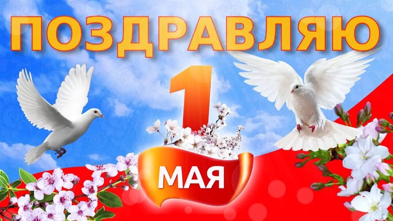 C 1 may