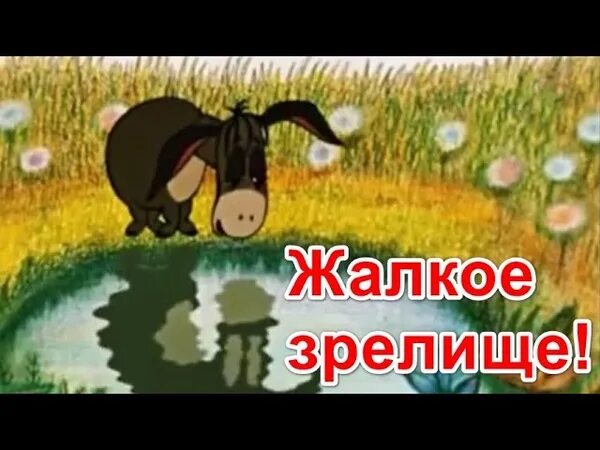 Душераздирающее видео. Душераздирающее зрелище ослик. ослик иа жалкое зрелище. грустное зрелище душераздирающее зрелище. жалкое зрелище, душераздирающее, кошмар.