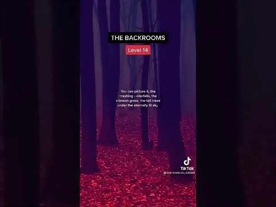 Уровень 14 backrooms. Backrooms Level 14. Закулисье Level !. Уровни enter the backrooms. The level 9999