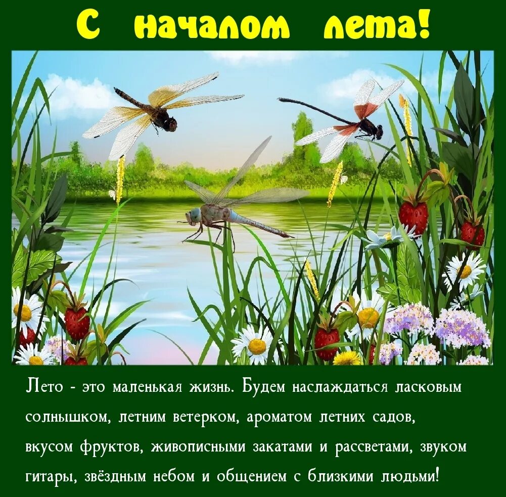 В начале лета я несколько дней провел. Лето - это маленькая жизнь. А Лео это маленькая жизнь. Летно это маленькаяжизнь. Красивые цитаты о лете.