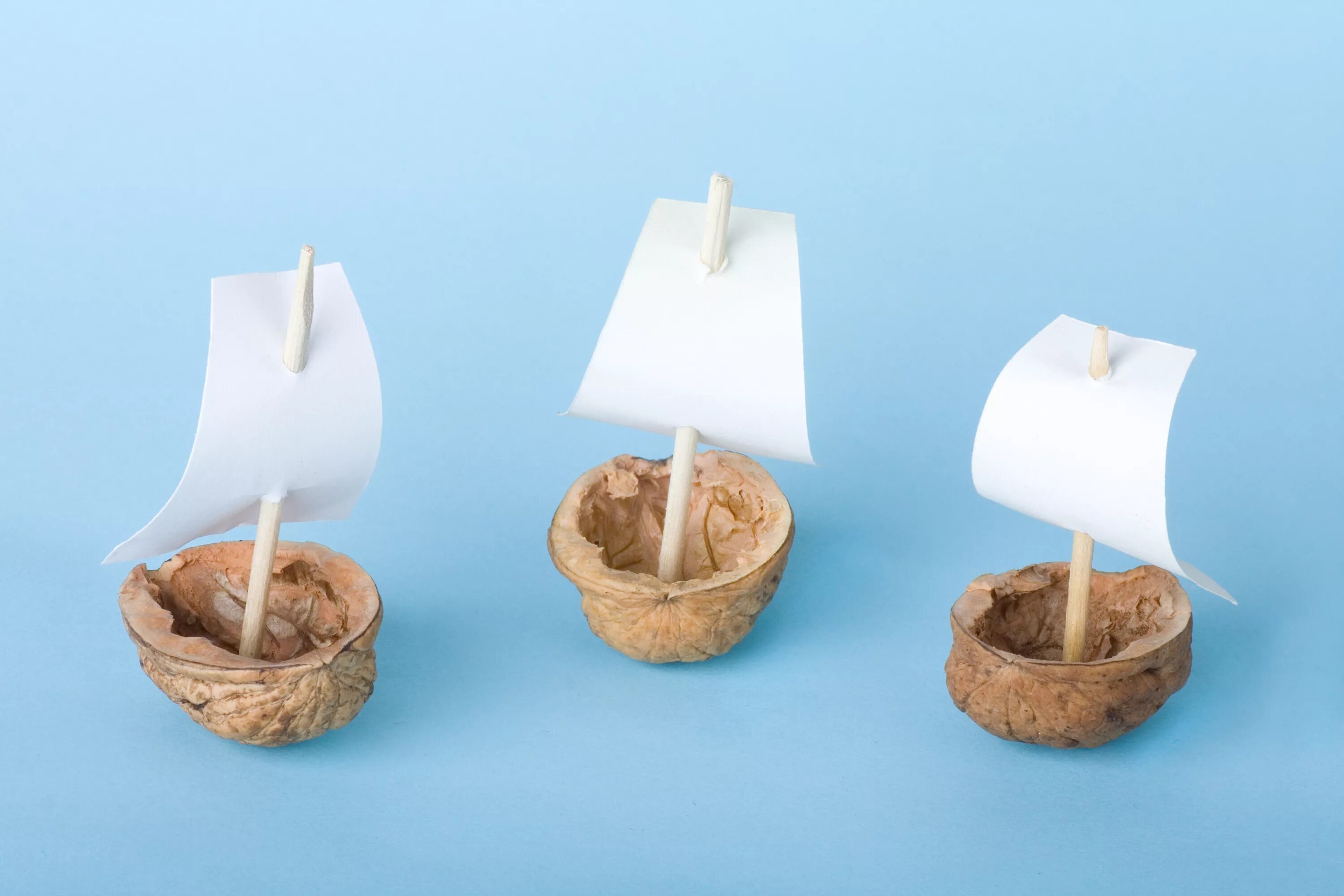 кораблик кораблик из скорлупы грецкого ореха. кораблик из грецкой скорлупы. кораблик из скорлупы грецкого ореха. кораблик из скорлупы грецкого ореха. кораблик из скорлупки грецкого ореха.