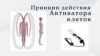 Whieda активатор клеток отзывы