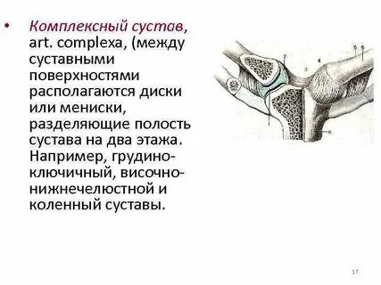 Суставные поверхности конгруэнтны