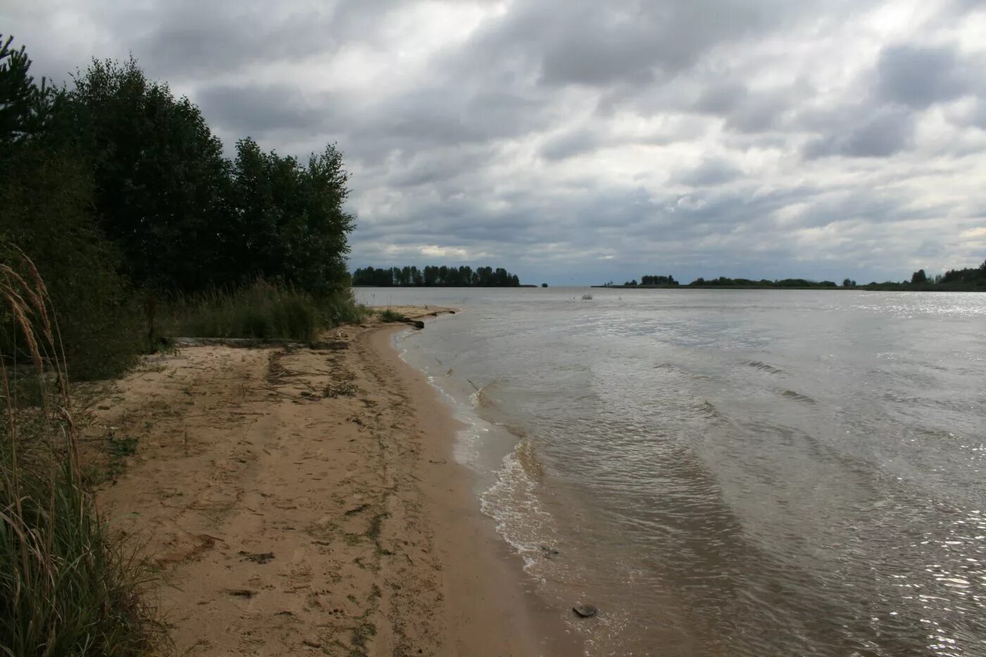 Пос липово. Пляж Липово Сосновый Бор. Деревня Липово Сосновый Бор. Пляж Липово Сосновый Бор Ленинградская область. Юрьевец Нижегородское пляж.