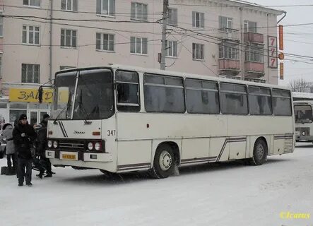 Автобус железногорск орел