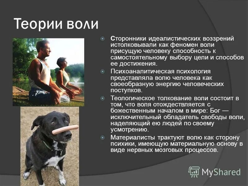 Человеческие качества у животных в сказках. Признаки животных у человека. Характеры животных в баснях. Психика животных и человека. Способности свойственные человеку и животному.