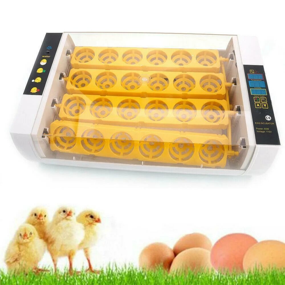Инкубаторы для яиц птиц купить. Автоматический инкубатор яиц Chicken Hatcher 6 Eggs. Инкубатор для яиц Яадв 75 в726.044. Egg инкубатор на 16 яиц двигатель. Fast Hatch Egg gamepass.