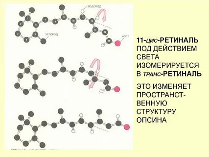 Под действием света