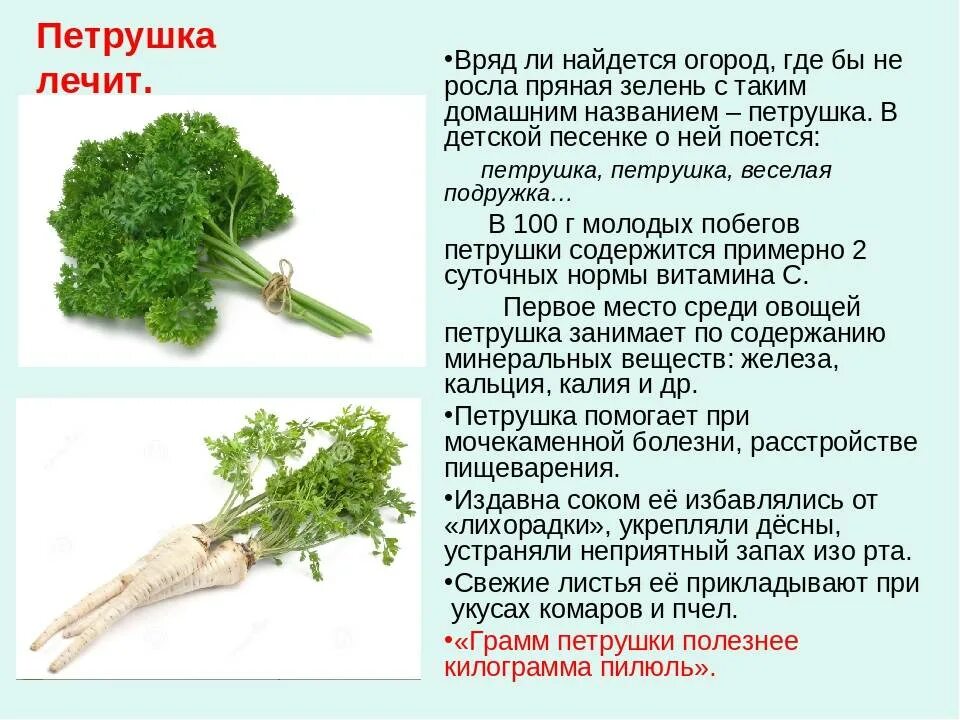 Можно давать зелень