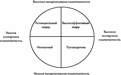 Этапы формирования лидерства. Стадии развития лидера. Этапы развития эмоциональной компетентности. Этапы становления лидера.