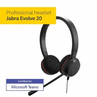 Evolve 20 ms mono
