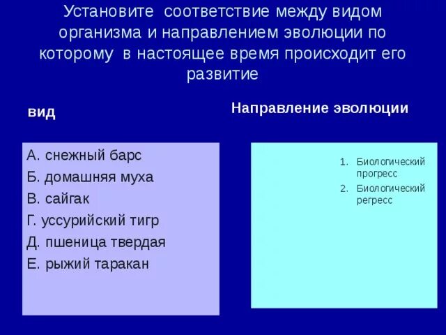 Установите соответствие между организмами и направлениями эволюции. Установите соответствие виды и направления эволюции. Укажите соответствие между признаком и направлением эволюции. Время и соответствие организма.