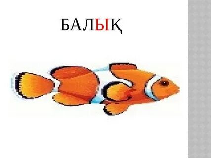 Смотрите курд порно без регистрации