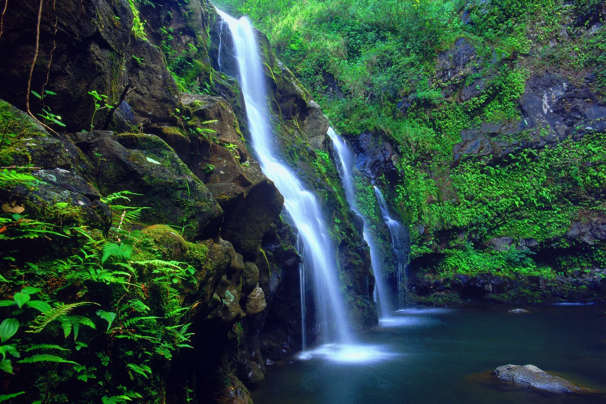 Водопад Хонокохау Мауи. Вваймея Гавайи водопад. Остров с водопадом. Красивый водопад на телефон.