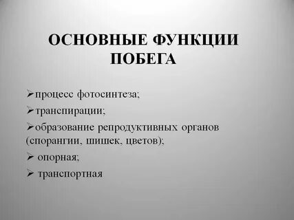 2 какие функции выполняет побег