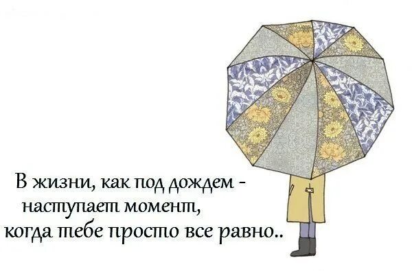 Анекдоты про зонтик. Высказывание про зонтик. цитаты про зонт. цитаты про зонтик. прикольные высказывания про зонтики.