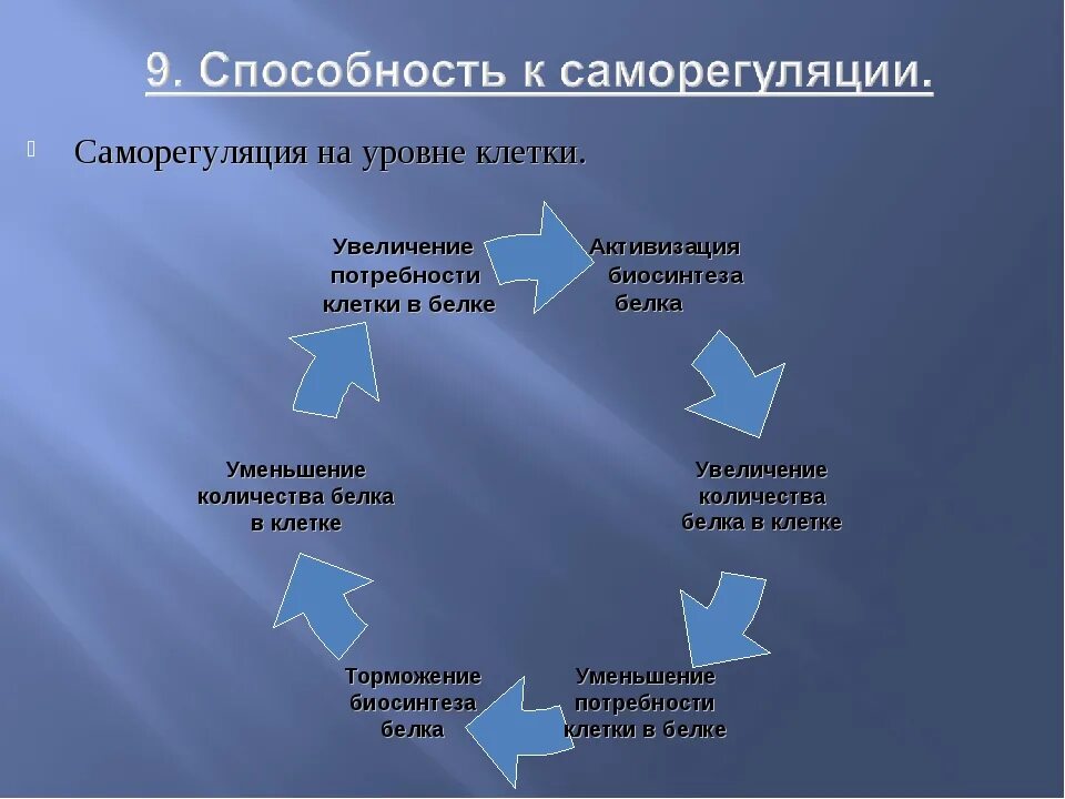 Саморегуляция на клеточном уровне. Саморегуляция живых организмов. Саморегуляция клетки пример. Уровни саморегуляции.