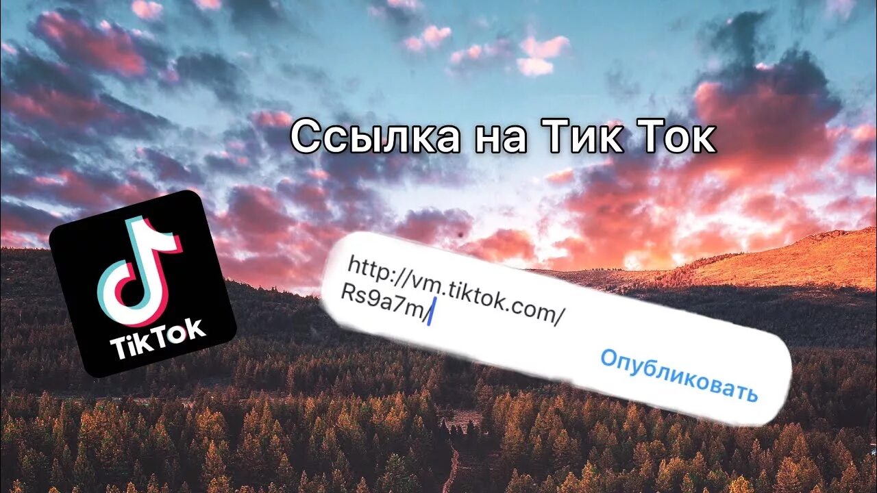 Как в тик токе зайти в профиль. Ссылка на тик ток. Как Скопировать ссылку в тик ток. Ссылка на тик ток аккаунт. Слка вы ТИКТОКЕ.